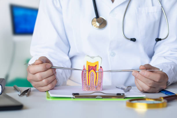 Best Emergency Broken Tooth Repair in Schenectady, NY